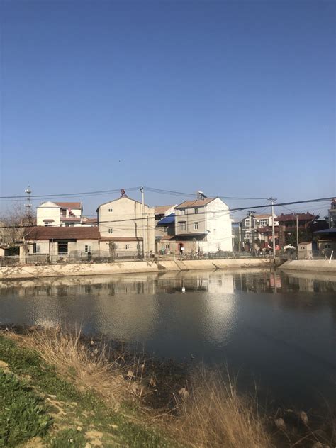 2026 New Year of the Horse. | David Lee