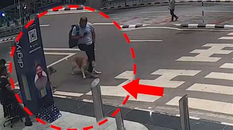 ‘Passenger Safety Is Highest Priority’: Delhi Airport Issues Advisory ...