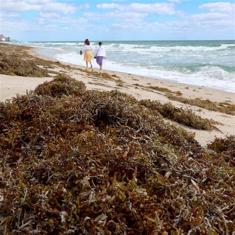 1971 Classic Was the Last No. 1 Hit for This Rock Band 55 Years Ago ...