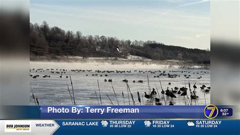 Send it to 7 Pics of the Week