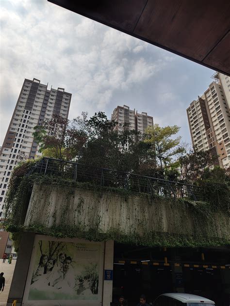 Rental 2 Bedroom 1370 Sq.Ft. Apartment in Rajapushpa Provincia ...