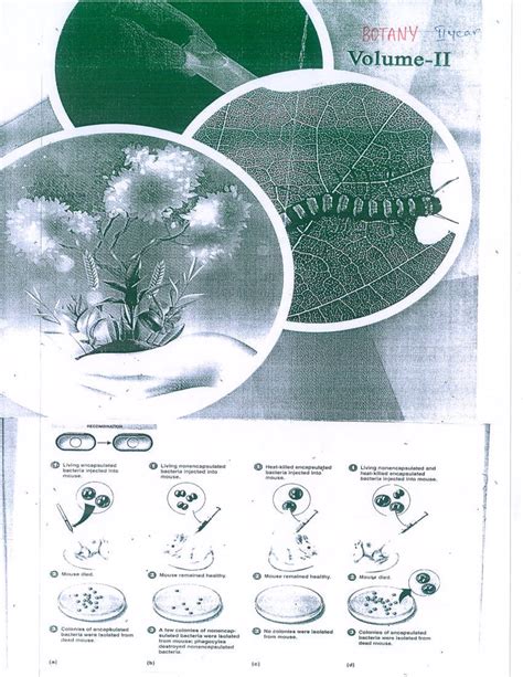 SR Botany - Genetic Recombination and Glycolysis Overview - Studocu