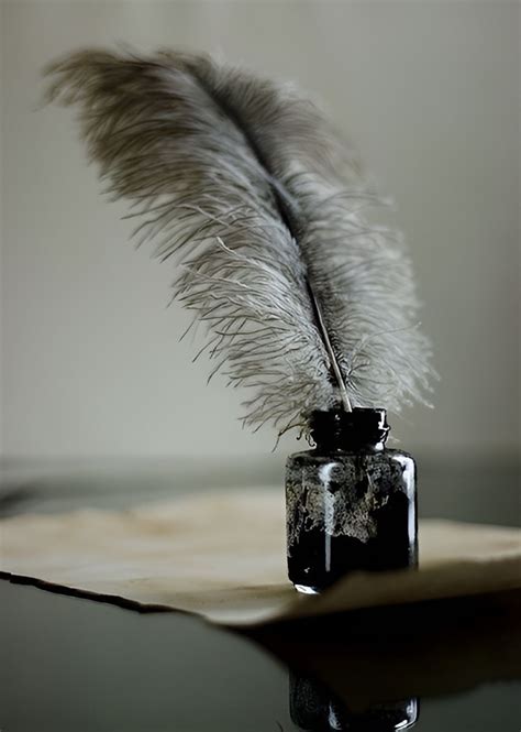 Surrender Harry Potter (Fanfic) - TV Tropes