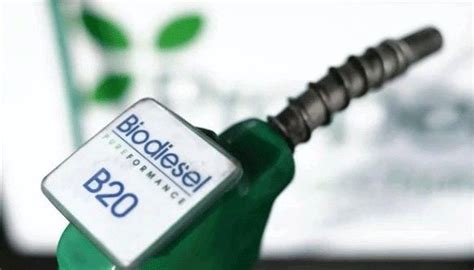 What are biofuels?