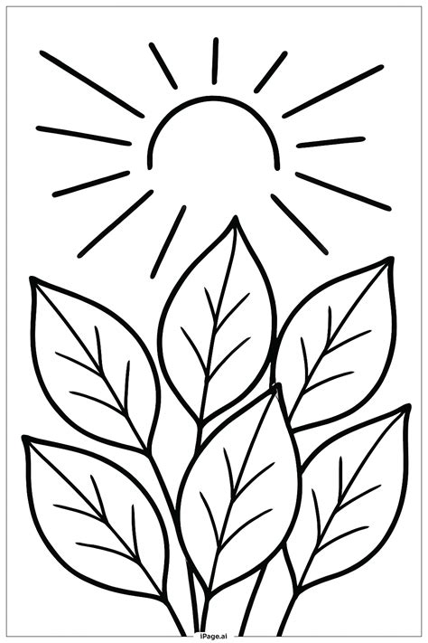 Photosynthesis Indoor Plant Scene Coloring Page (Free PDF&PNG Printable)