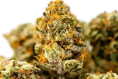 Congressmember Brian Mast (R-FL) Joins Bipartisan Push to End Federal ...