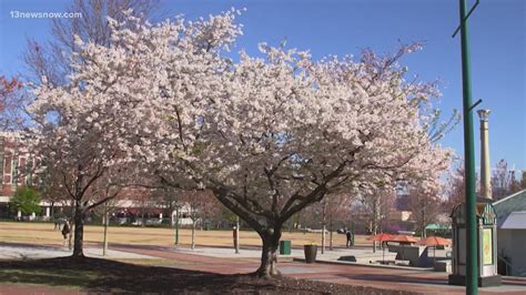 Watch out for these lesser-known allergy symptoms