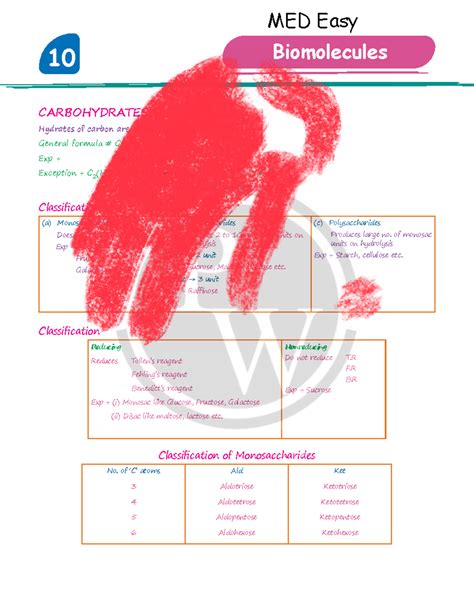 MED 10 Biomolecules: Carbohydrates Overview and Classification - Studocu