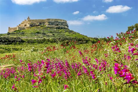 Gozo, l’isola ammaliatrice 🌵 - VisitMalta Incentives & Meetings