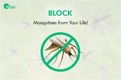 BLOCK Mosquitoes from Your Life! – HiCare (A Rentokil PCI Company)