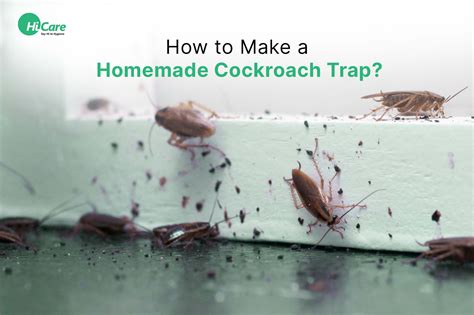 How to Make a Homemade Cockroach Trap? – HiCare (A Rentokil PCI Company)