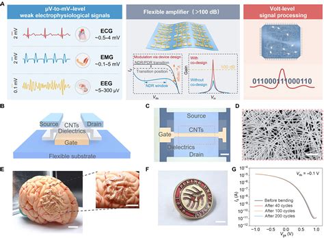 Flexible amplifier with >100-dB voltage gain enabled by intrinsic gain singularity of carbon ...