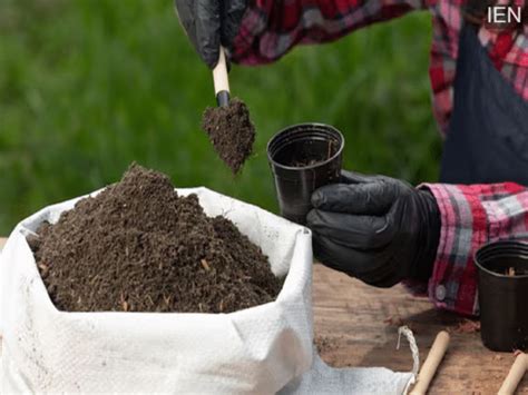 Government statement on fertilizer shortage: Stock ready for the kharif ...