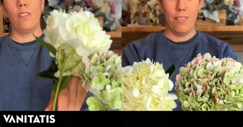 Clara Sanz, florista: "No todas las flores necesitan la misma cantidad ...