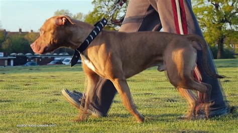 L'avenir nous appartient - Season 3 Episode 11 - free streaming and ...