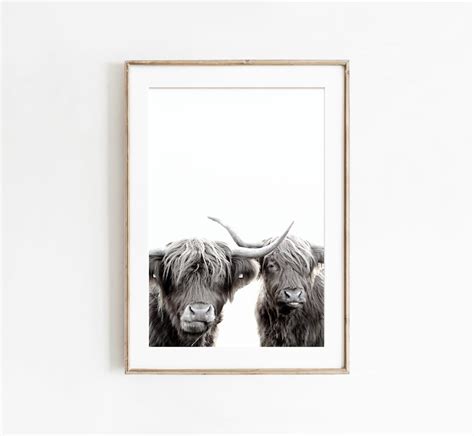 Black and White Highland Cows Print Farm Animals Photography Wall Decor, Stretched Canvas ...