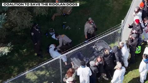 Ridglan Farms activists protest at capitol, political figures weigh in ...
