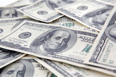 2026最招財植物「發財樹」由來、功效、怎麼擺放、養護一次看