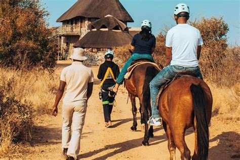 WASAFIRI DESTINATIONS (2026) All You Need to Know BEFORE You Go (with ...