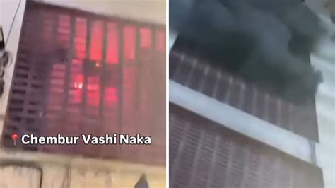 Mumbai: Over 40 Animals Rescued After Massive Fire Breaks Out In ...