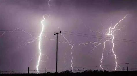 2 die in lightning, tree crash as rain lashes in Karnataka