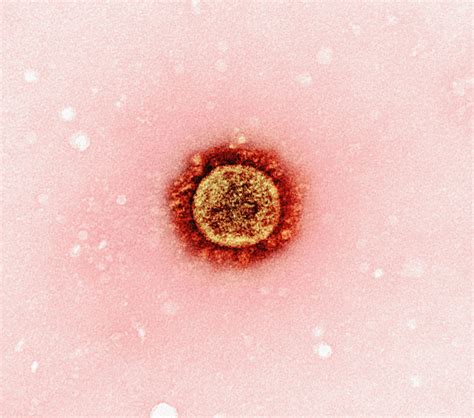 Hepatitis C Treatment Guide: Direct-Acting Antivirals & Liver Health Monitoring Tips