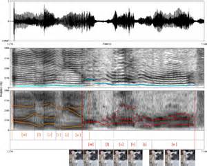 Could dogs ever talk? New review weighs science, ethics and evolution