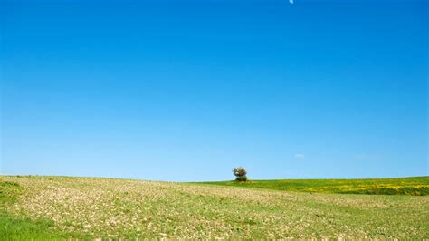 Long River, PE Weather forecast, Conditions and Maps - Yahoo Weather