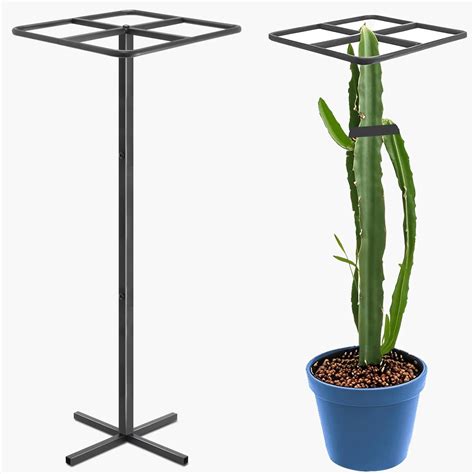 Metal Dragon Fruit Trellis Adjustable Vertical Plant Support, New