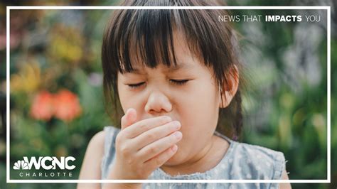 Liverpool goalkeeper Alisson to miss Champions League games against PSG | wcnc.com