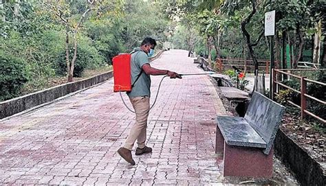 Karnataka Zoo Authority confirms HS outbreak behind death of 31 blackbucks