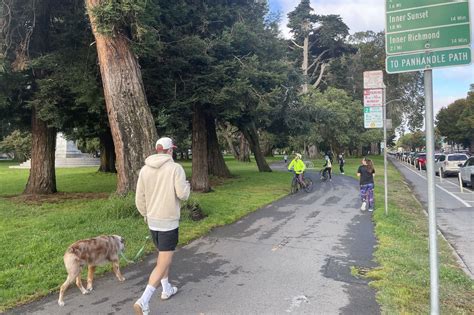 San Francisco mountain lion said to be seen again by Golden Gate Park