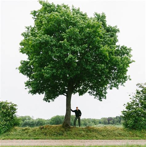 Size chart: Men's Clothing – DANISH ENDURANCE