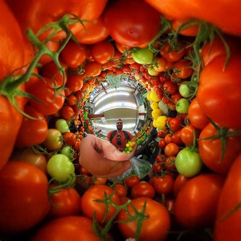 Fisheye grid | Fish eye lens grid