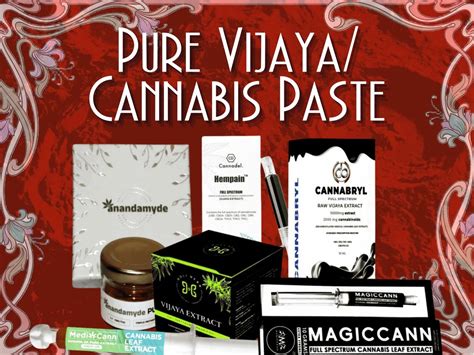 Darjeeling Second Flush Black Tea | Premium Loose Leaf Tea