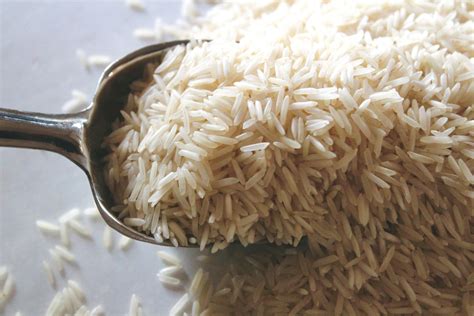 Mon chien peut-il manger du riz basmati ? Un vétérinaire vous répond ...