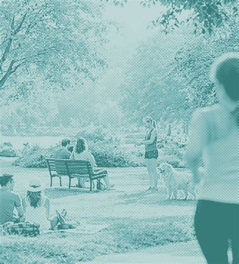 Pennsylvania Animal Park Auctioning Off Miniature Horses After Closure ...