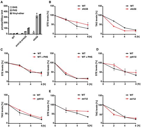 Intersection of Sphingolipid and Sterol Metabolism at the Level of Orm Proteins in Yeast