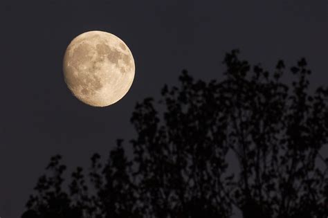 Do we have two moons now? The truth about '2 moons until 2083' rumors, new Earth asteroid