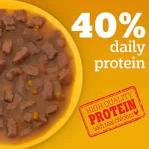 Buy PEDIGREE ADULT WET DOG FOOD | GRILLED LIVER CHUNKS FLAVOUR IN GRAVY ...