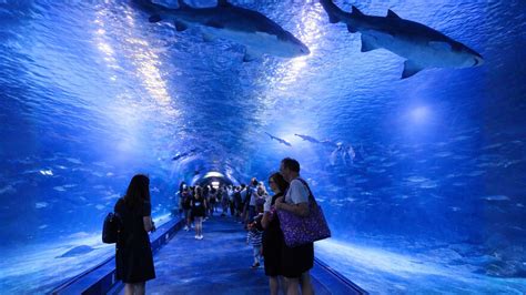 हे युरोपमधील सर्वात मोठं समुद्री उद्यान आहे का?