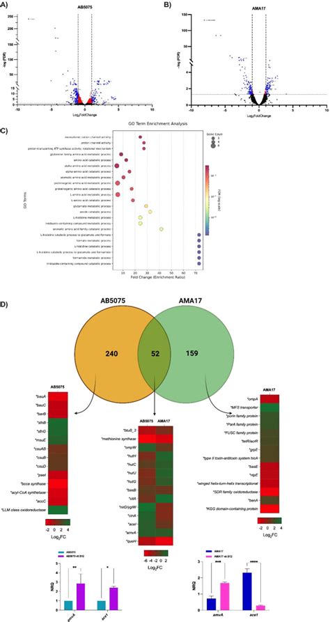 Vitamin B12 promotes cefiderocol resistance and small-colony variants ...