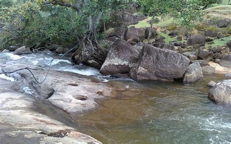 HOTEL MERICIONAL (Campos dos Goytacazes) - Hotel Reviews & Photos ...