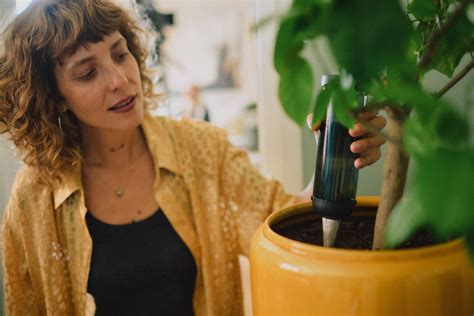 Fiskars Plant Care water spike, green - black - white | Finnish Design ...