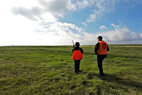 Where to hunt if you’re tired of seeing nothing but squirrels