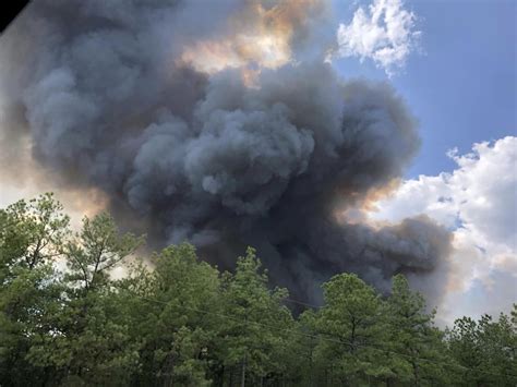 Can trees explode in cold weather? Texas A&M expert weighs in.