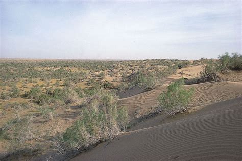 Climate change - Human Impact, Global Warming, Carbon Emissions | Britannica