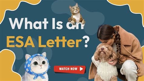 What an ESA Letter Really Is (And Who Can Legally Write One) - YouTube