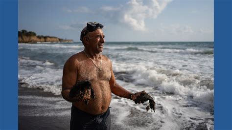 Gulf of Mexico oil spill spread hundreds of miles, killed wildlife and polluted Mexican reserves ...
