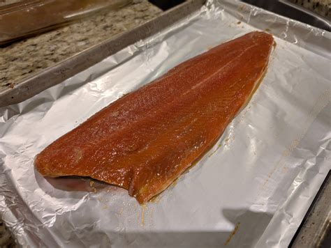 Miso Salmon (x2 scale)